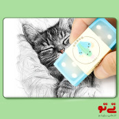 پاکن ژله ای طرح کاکتوس مدل2508
