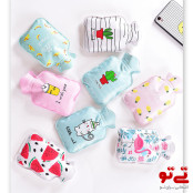 کیسه آبگرم مینی طرح کاکتوس و میوه مدل2605