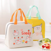 کیف نگهدارنده غدا عایق دار مدل2443